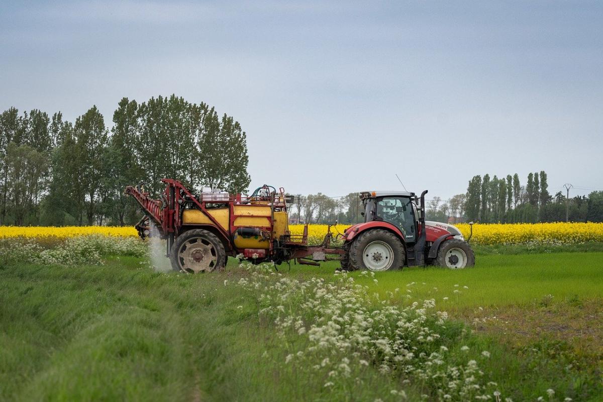 Terreni agricoli all’asta: nuovo bando ISMEA, entro quando fare domanda