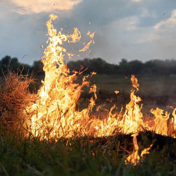 La piromania è una malattia mentale? Ecco le origini di questa ossessione per il fuoco