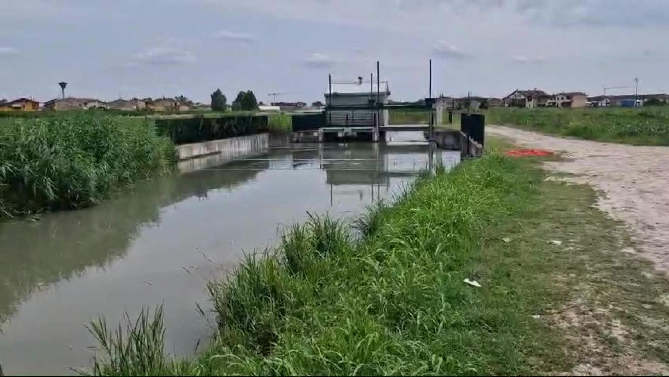 Chi era Erika Boldi, la 26enne trovata morta nel fiume Tartaro a Verona e cosa sappiamo dei suoi ultimi istanti di vita