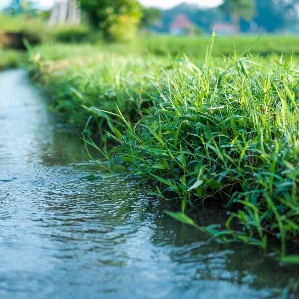 Allarme siccità 2023: 3,5 milioni italiani a rischio acqua