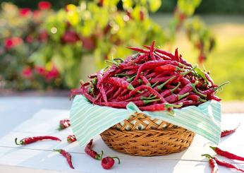 Che cosa sono i peperoni cruschi e le ricette per provarli