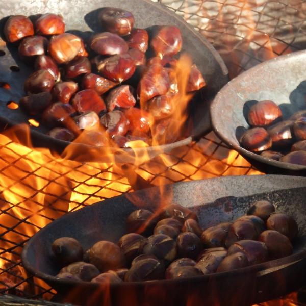 L’autunno, la stagione della castagna “roscetta” in Abruzzo. L’invi…