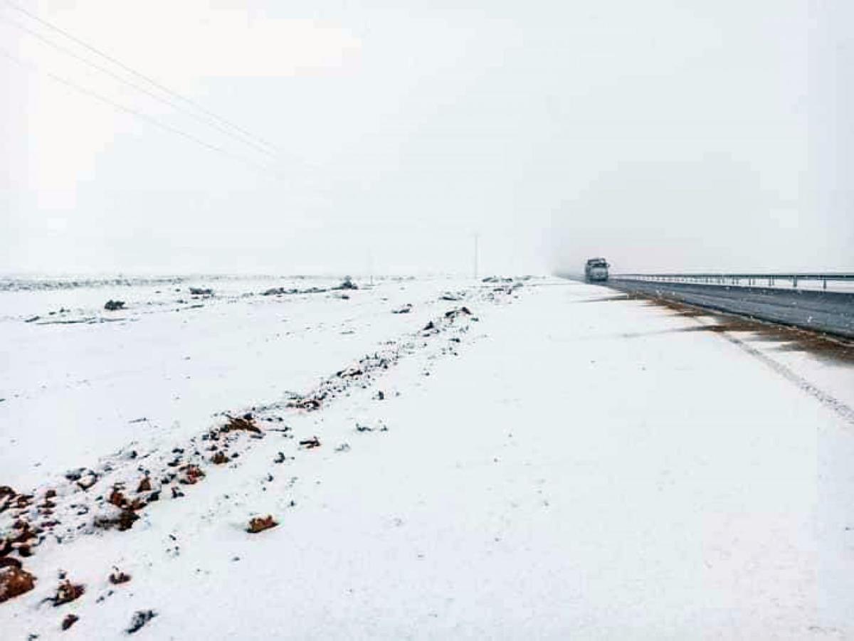 Neve in Sardegna oggi, parlano l’ass. Porcu e il direttore Belloi