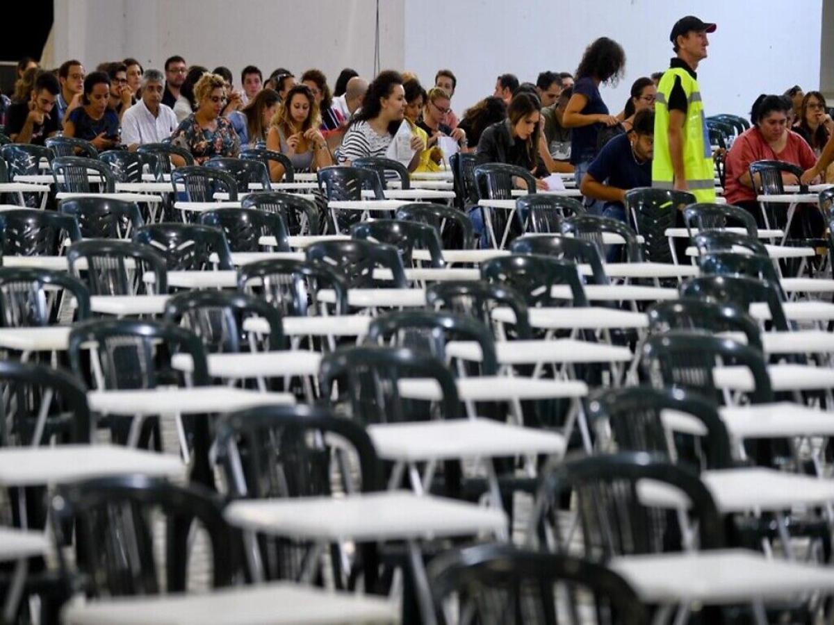 Concorso pubblico per operatori tecnici disinfestazione a Cagliari: bando, requisiti e domanda 2024