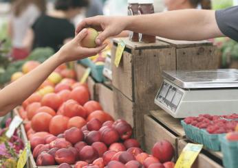 Rinnovato il Ccnl degli operai agricoli