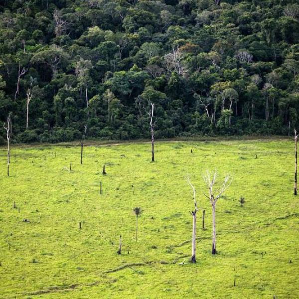 Brasile, deforestazione da record in Amazzonia nel 2022