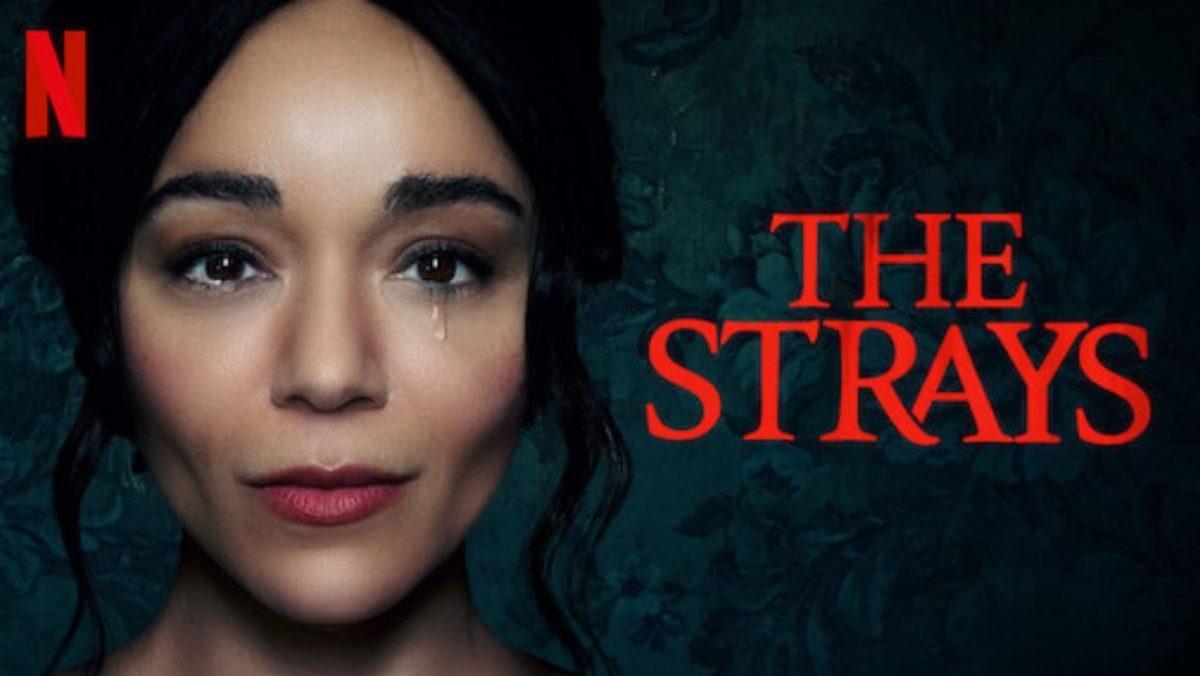 Se ami i Thriller psicologici agghiaccianti, non puoi perderti “The Strays” su Netflix