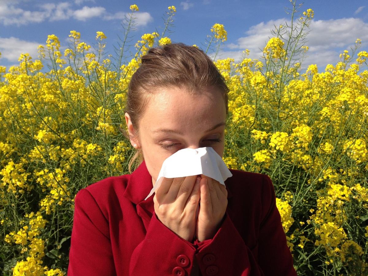 Cosa fare se sei allergico al polline? Destinazioni consigliate, rimedi farmacologici, naturali e preventivi