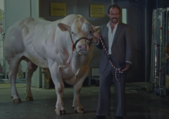 Idles, Gift Horse: video ufficiale, testo e traduzione