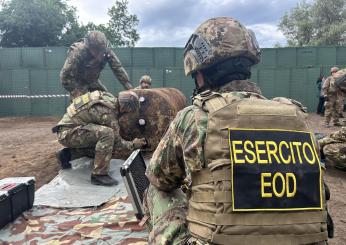 Ordigno bellico americano trovato a Foggia in un cantiere edile: evacuate quasi 8mila persone