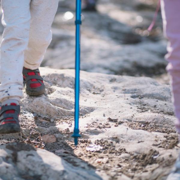 Quali sono i benefici della camminata con i bastoncini in spiaggia? Come si fa e consigli