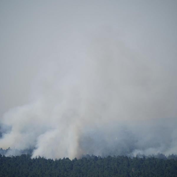 Germania: in fiamme il bosco Grunewald di Berlino