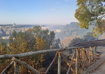 Roma, incendio a Monte Mario: quali sono le cause? Vigili del fuoco al lavoro tutta la notte: spegnimento ancora in corso | FOTO E VIDEO