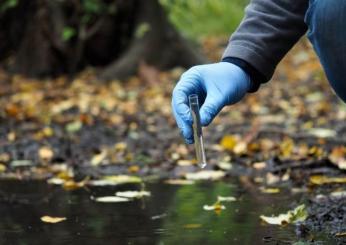 Pesticidi nell’acqua potabile: quali sono i rischi ambientali e per la salute?