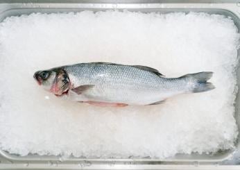 Branzino al sale: trucchi per farlo squisito