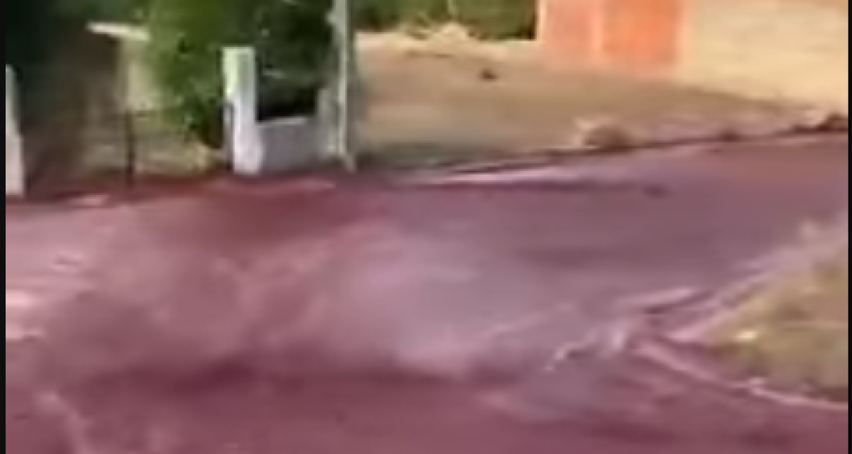 Portogallo, inondazione di vino rosso nelle strade di Anadia | VIDEO