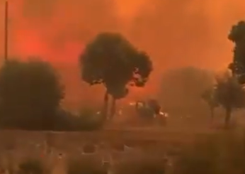 La Turchia brucia da 3 giorni: evacuati 900 residenti da Smirne a causa degli incendi | VIDEO