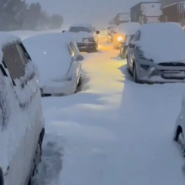 Neve in Sudafrica, l’evento anomalo paralizza il Paese: cumuli alti 2 metri e un morto | VIDEO e FOTO