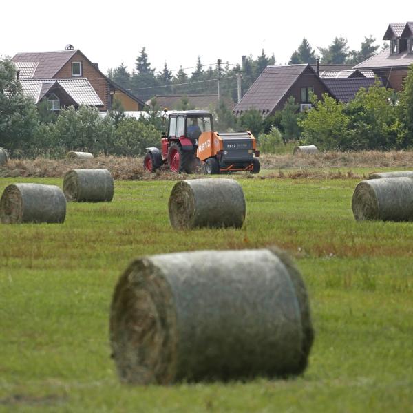 Piccoli coloni e compartecipanti familiari: retribuzioni per il 2024