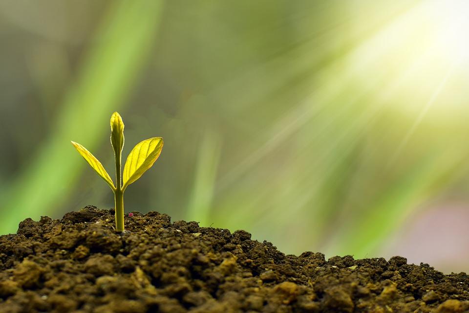 Green economy, cresce l’attenzione per l’ambiente delle imprese italiane. Bene anche il riciclo