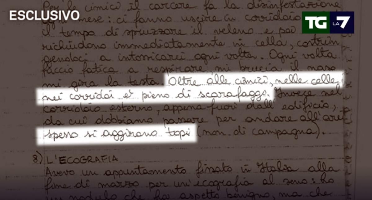 Ilaria Salis, il memoriale dal carcere di Budapest: “Rinchiusa 23 ore su 24 in una cella minuscola con cimici e scarafaggi”