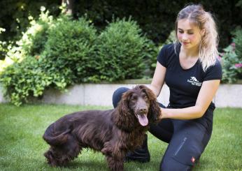 Roma, rapina finita in tragedia a Monteverde Vecchio: il cane Ricky gettato dal 6° piano. Ecco cos’è successo