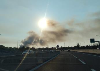 Roma brucia oggi 28 luglio 2024: incendi devastano la capitale da Ponte di Nona a Colli Aniene, colonne di fumo visibili a chilometri | FOTO e VIDEO