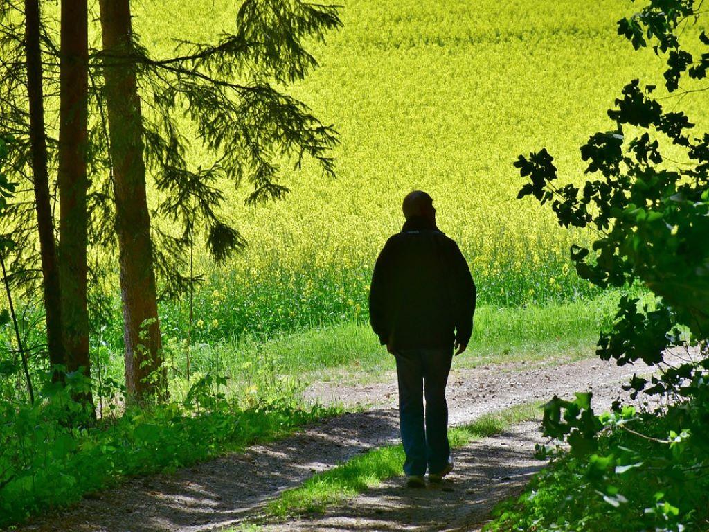 Ape sociale e contributi figurativi per disoccupazione Naspi: ecco tutto quello che c’è da sapere