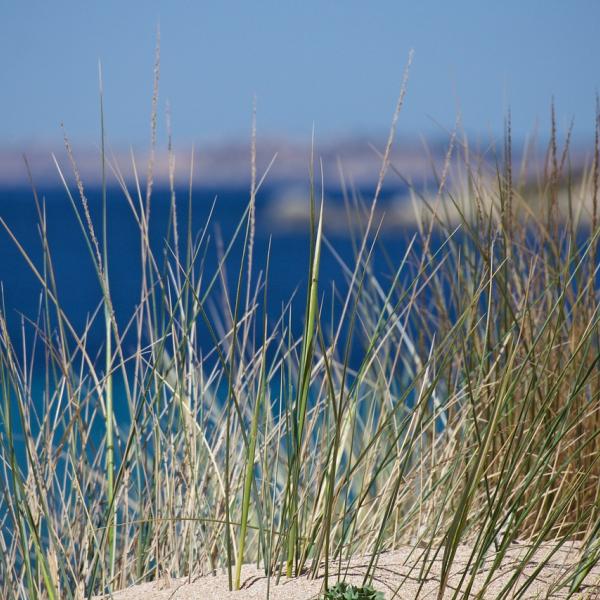 Cosa vedere a Oristano ​in Sardegna: centro storico, spiagge e paesi