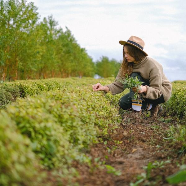 Green Jobs: quali sono i lavori sostenibili che salveranno il pianeta