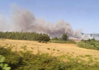 Incendi al Sud: ritrovato pilota precipitato in Sicilia, è vivo