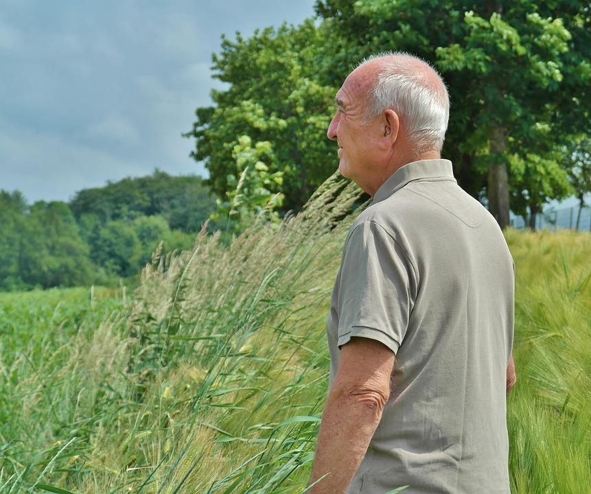 Pensione di vecchiaia, reversibilità e invalidità: cambia tutto, le novità che anticipano la riforma delle pensioni del governo Meloni