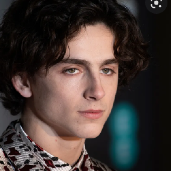 Timothée Chalamet fidanzata, chi è Rebecca Maude