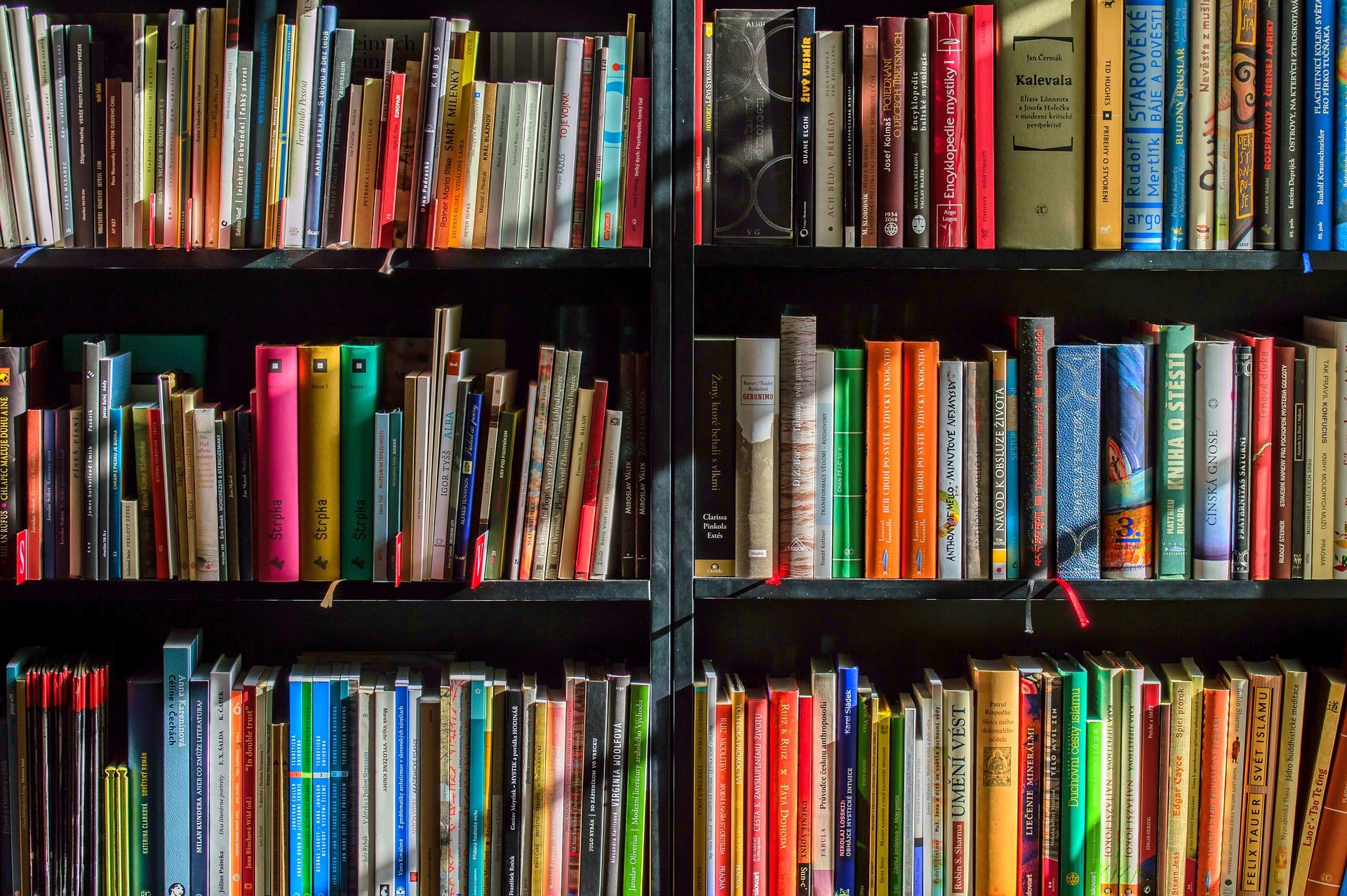 Roma, chiude la libreria storica Odadrek, nel centro storico. I proprietari: “Crollano incassi e clienti”