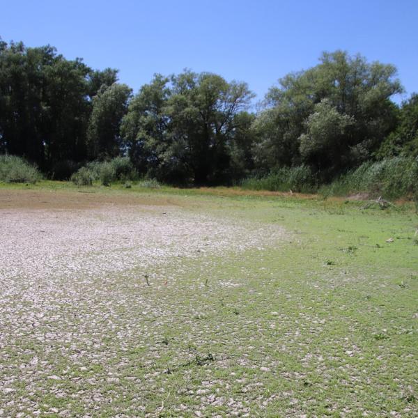 La siccità, l’acqua e la libertà