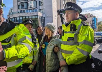 Perché è stata arrestata Greta Thunberg? | FOTO