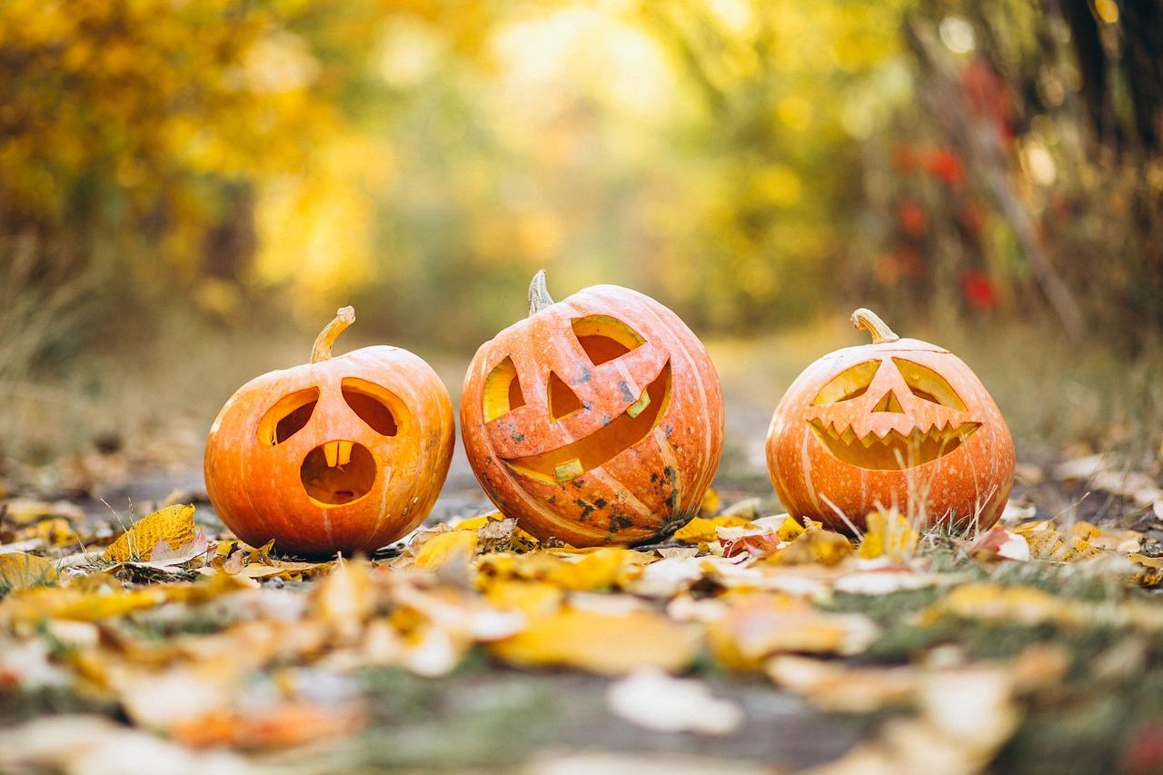 Dove trascorrere Halloween nel 2024: città paurose da non perdere