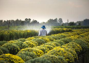 Bonus agricoltura 2024, domande fino al 30 settembre: ecco cosa sapere sull’incentivo per uomini e donne