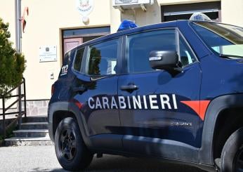 Parma, neonato morto chiuso in un sacchetto rinvenuto in un giardino: indagini in corso per trovare i genitori