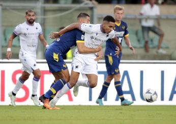 Ecco dove vedere Fiorentina-Lecce. Ma anche tanto altro sulla partita del Franchi