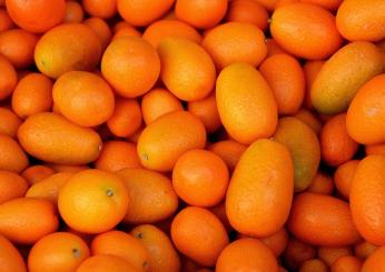 3 ricette salate con il kumquat, il mandarino cinese