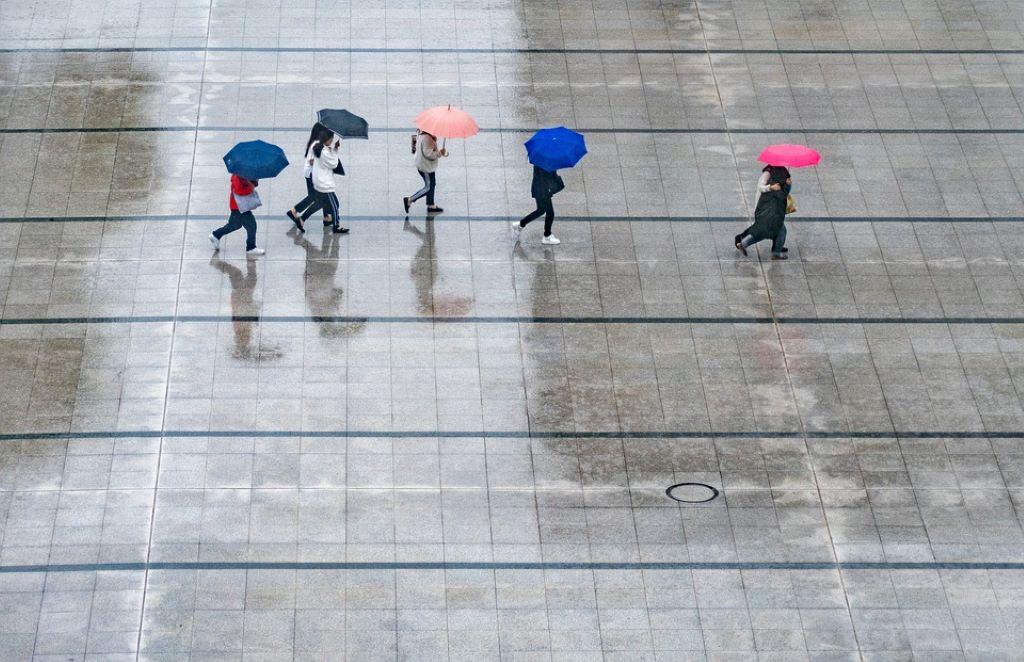 Decreto Lavoro, Naspi e Rdc: rivoluzione e novità per i Lavoratori, ecco cosa cambia e per chi