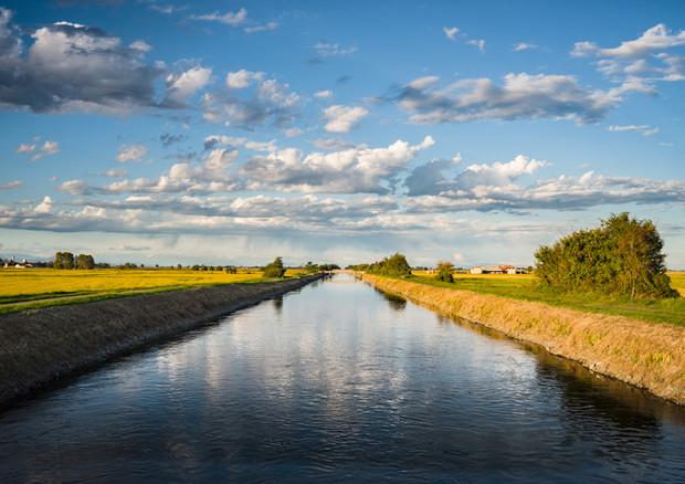 Gestione sostenibile dell’acqua in agricoltura, le strategie per affrontare la siccità