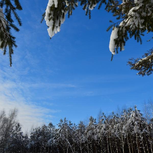 Siccità, Coldiretti: “Inverno con +1,2 gradi rispetto a media”