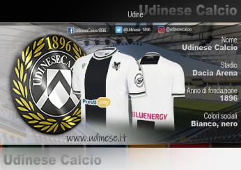 Dove vedere Udinese-Catanzaro in Tv e in streaming? Orario, squadra arbitrale e probabili formazioni