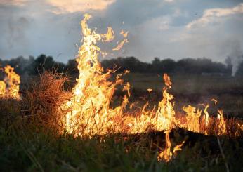 La piromania è una malattia mentale? Ecco le origini di questa ossessione per il fuoco