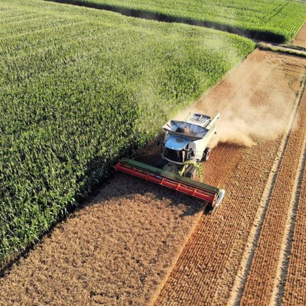 L’agricoltura intensiva e gli effetti sull’inquinamento atmosferico