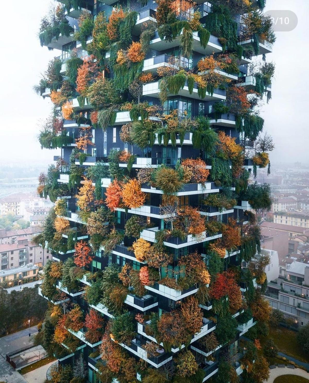 Quali sono le caratteristiche del Bosco Verticale? Ecco come cambia a seconda delle stagioni