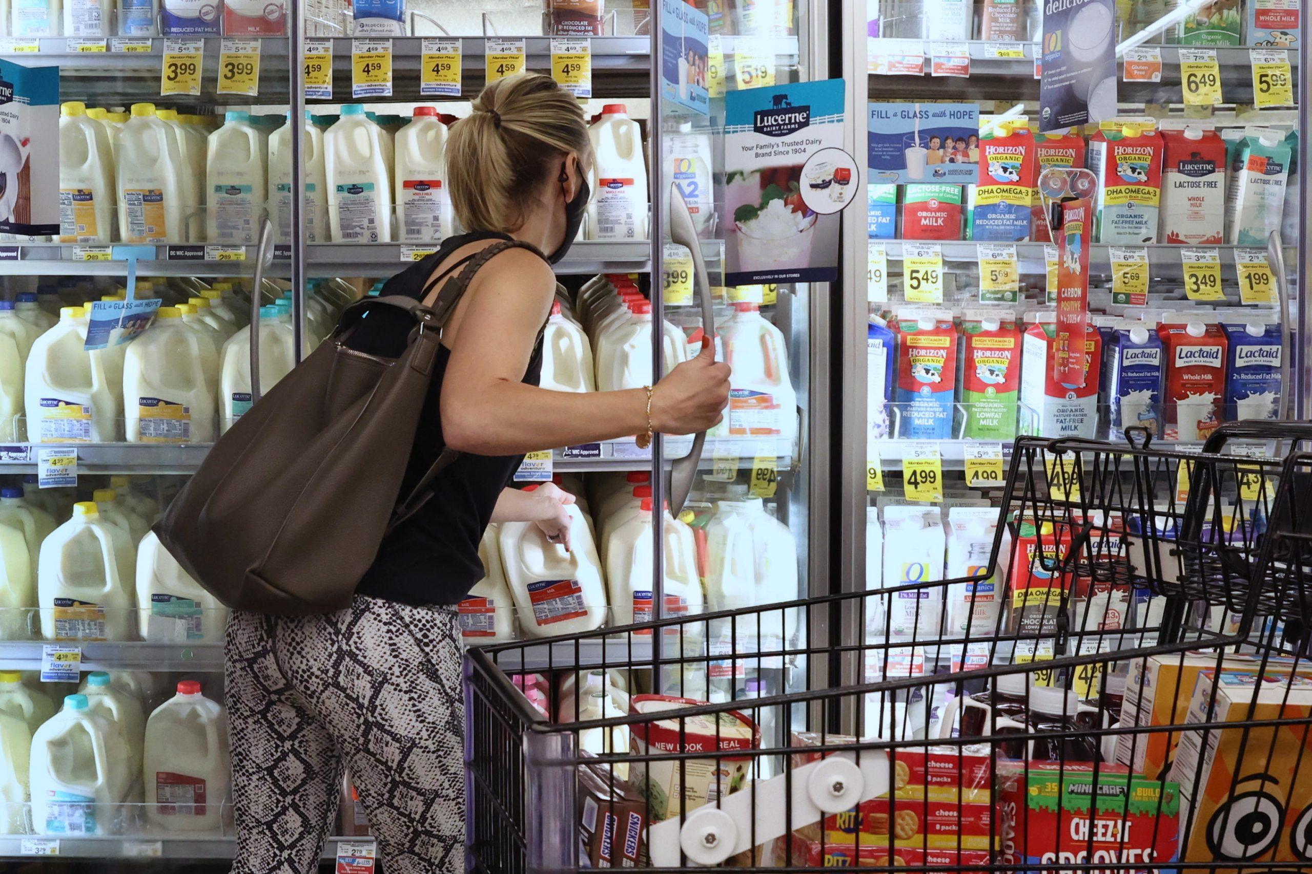 Remilk e il latte senza mucche