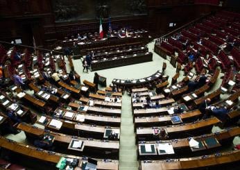 Caso Salis, opposizioni con FI e Lega chiedono al Governo di riferire in Aula. Silenzio di Fratelli d’Italia